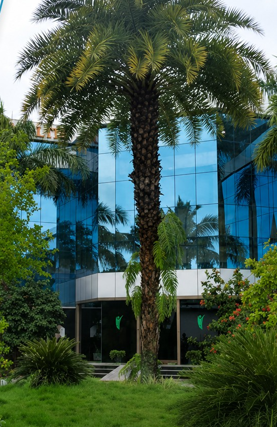 Voxtur Clinical Research headquarters in Chennai, India